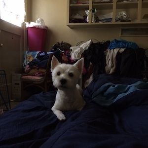 Meet your Posher, Sheldon